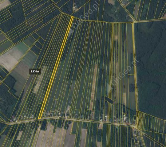 Działka rolno-budowlana Chinków. Zdjęcie 1