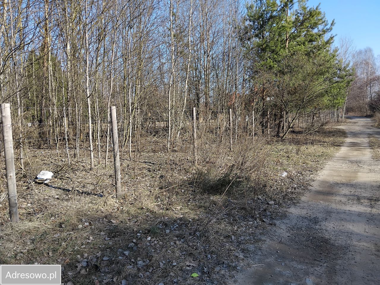 Działka budowlana Komorów, ul. Paproci. Zdjęcie 3