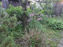 Działka rod Bielsko-Biała Lipnik, ul. Łąkowa. Zdjęcie 1