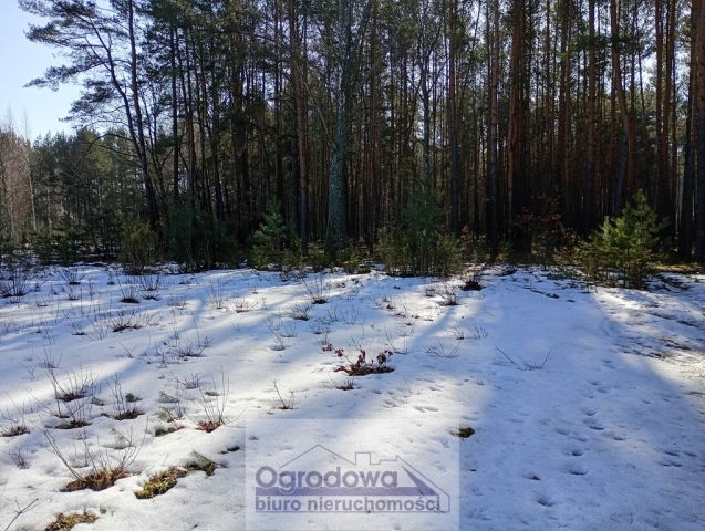 Działka budowlana Kąty. Zdjęcie 2