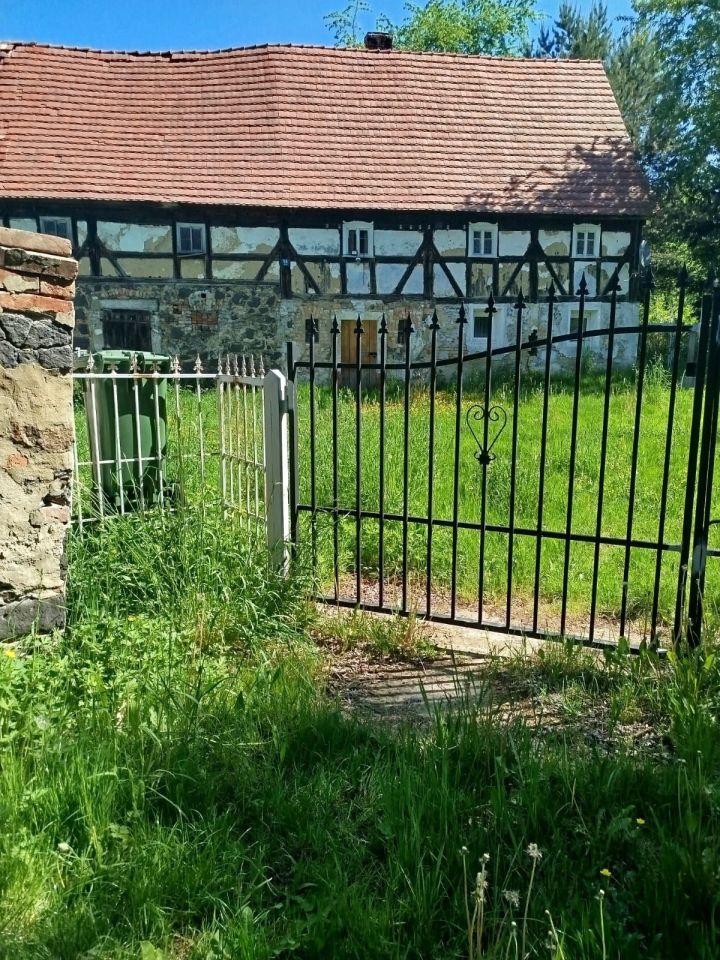 Działka budowlana Rudzica. Zdjęcie 3