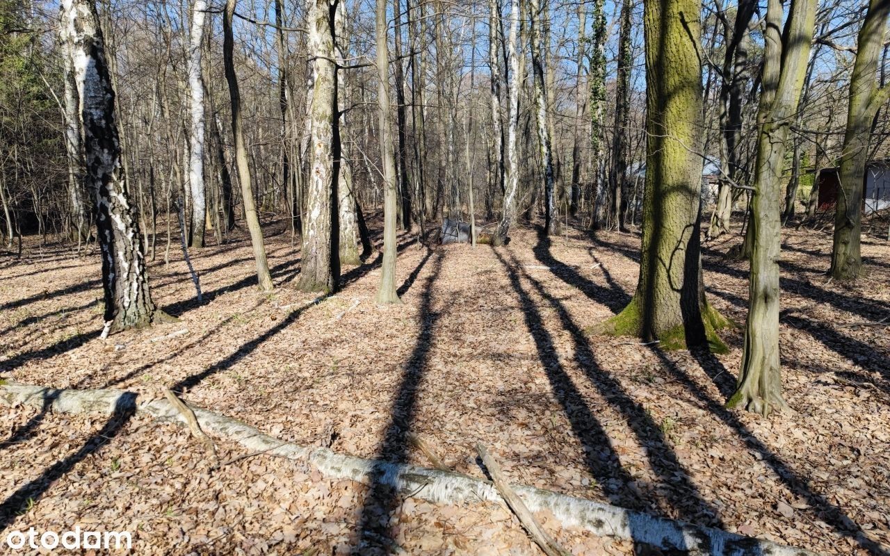 Działka budowlana Sokolniki-Las, ul. Kwiatowa