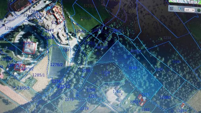 Działka leśna Stara Wieś Rola. Zdjęcie 1