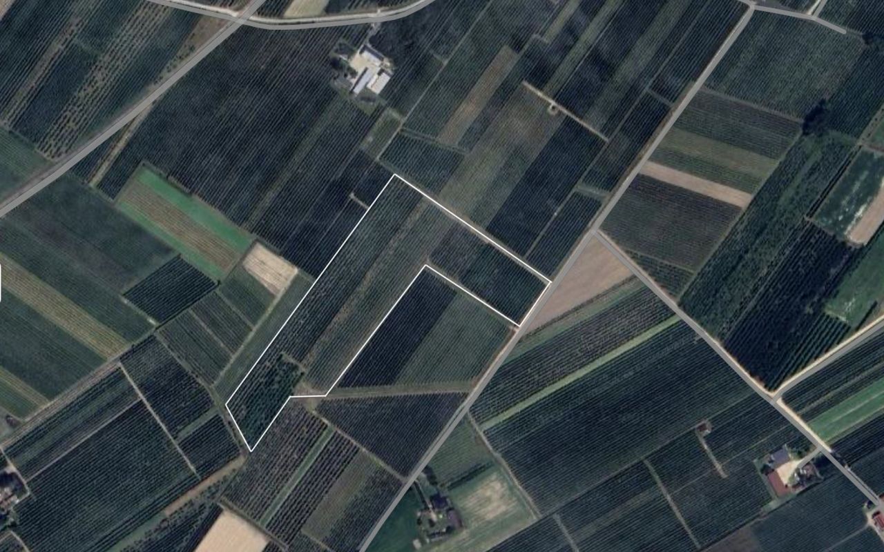 Działka rolna Wólka Kurdybanowska. Zdjęcie 3