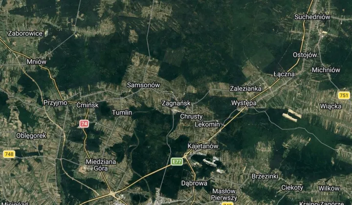 Działka leśna Zagnańsk, Barcza