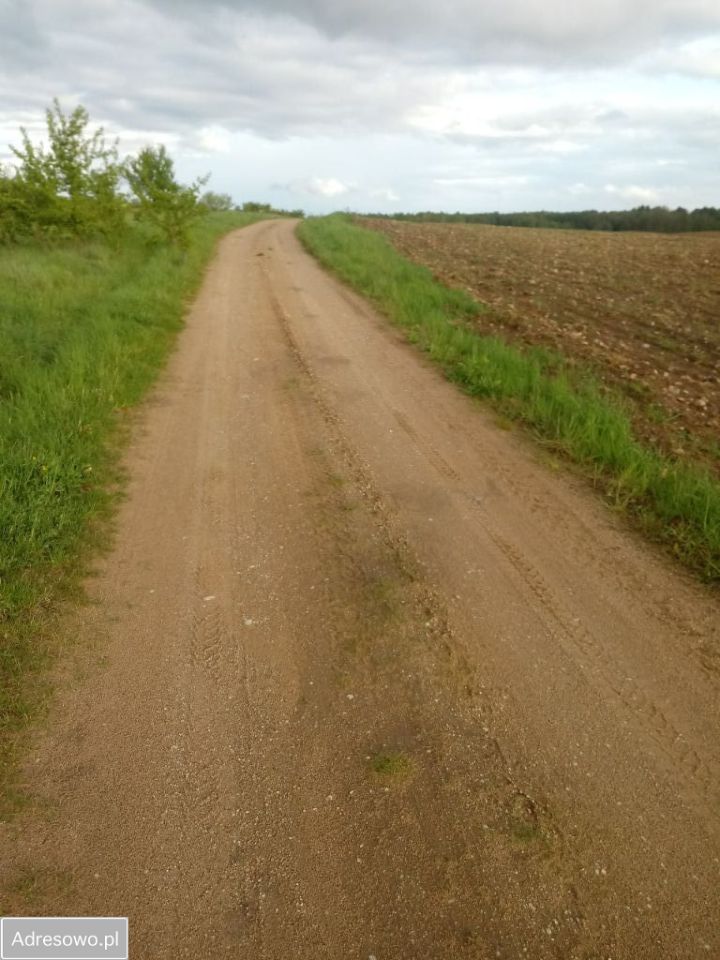 Działka inwestycyjna Bartosze. Zdjęcie 5