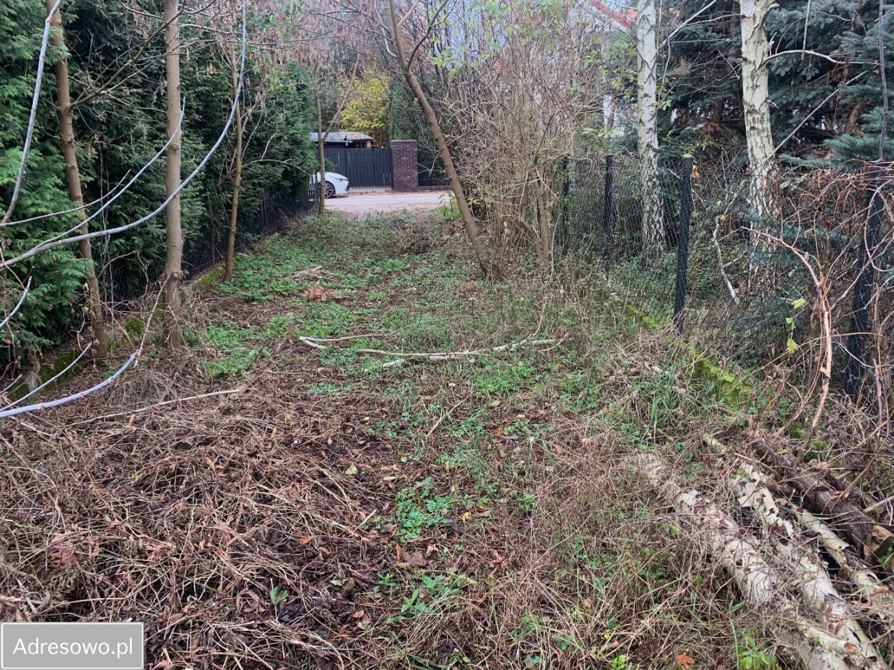 Działka budowlana Grabówiec. Zdjęcie 7