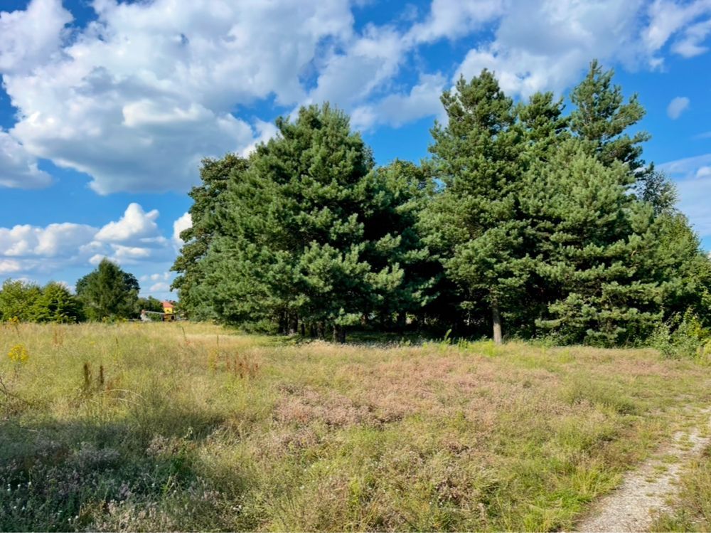 Działka budowlana Włoszczowa, ul. Spacerowa. Zdjęcie 2