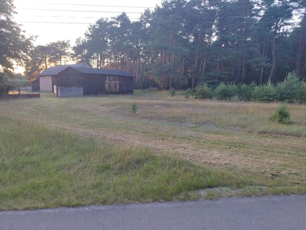 siedlisko Ścichawa. Zdjęcie 3