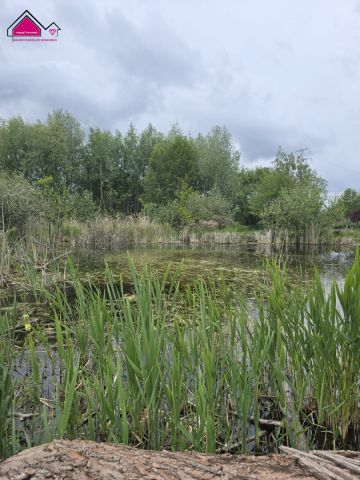 Działka rekreacyjna Konin Gaj. Zdjęcie 3