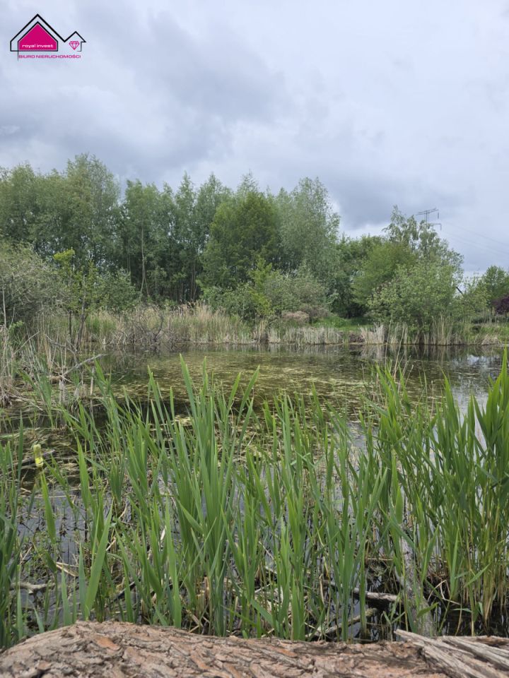 Działka rekreacyjna Konin Gaj. Zdjęcie 3