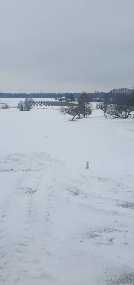 Działka budowlana Płosków. Zdjęcie 4