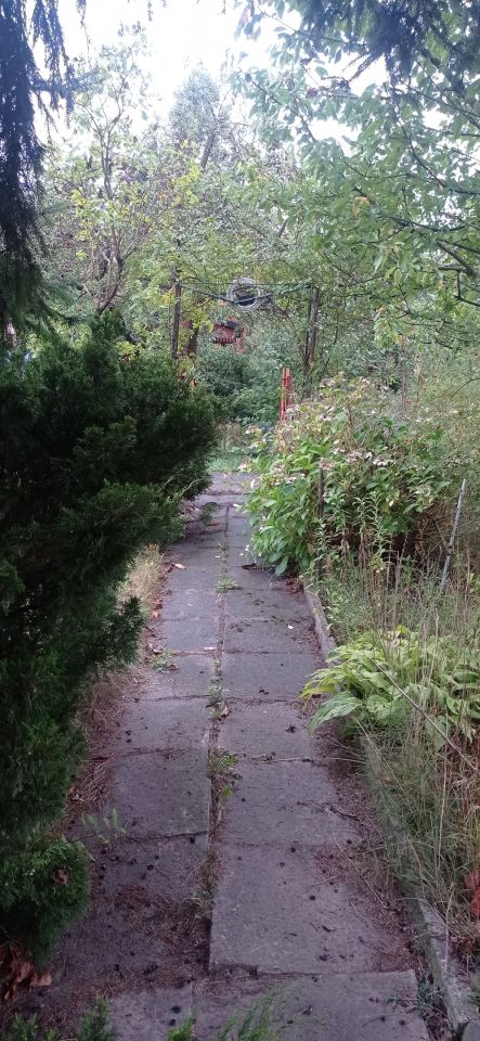 Działka rod Łódź Widzew, ul. Lodowa. Zdjęcie 53