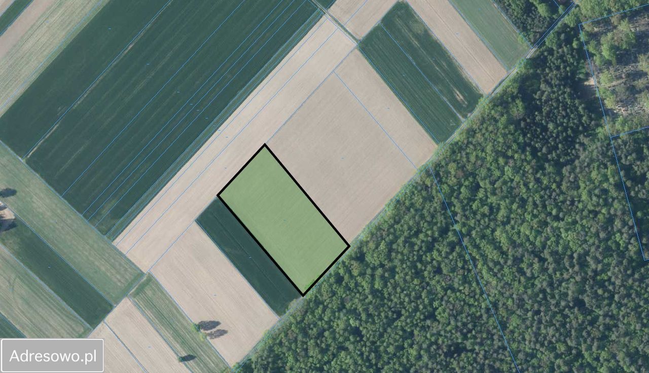 Działka siedliskowa Rudka, ul. Olendzka. Zdjęcie 3