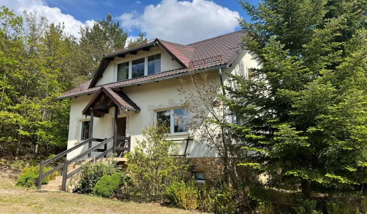 dom wolnostojący, 10 pokoi Tuszkowy