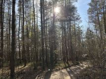 Działka leśna Żukowo. Zdjęcie 1