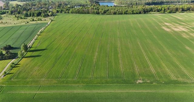 Działka rolno-budowlana Gąsiorowo Olsztyneckie. Zdjęcie 1