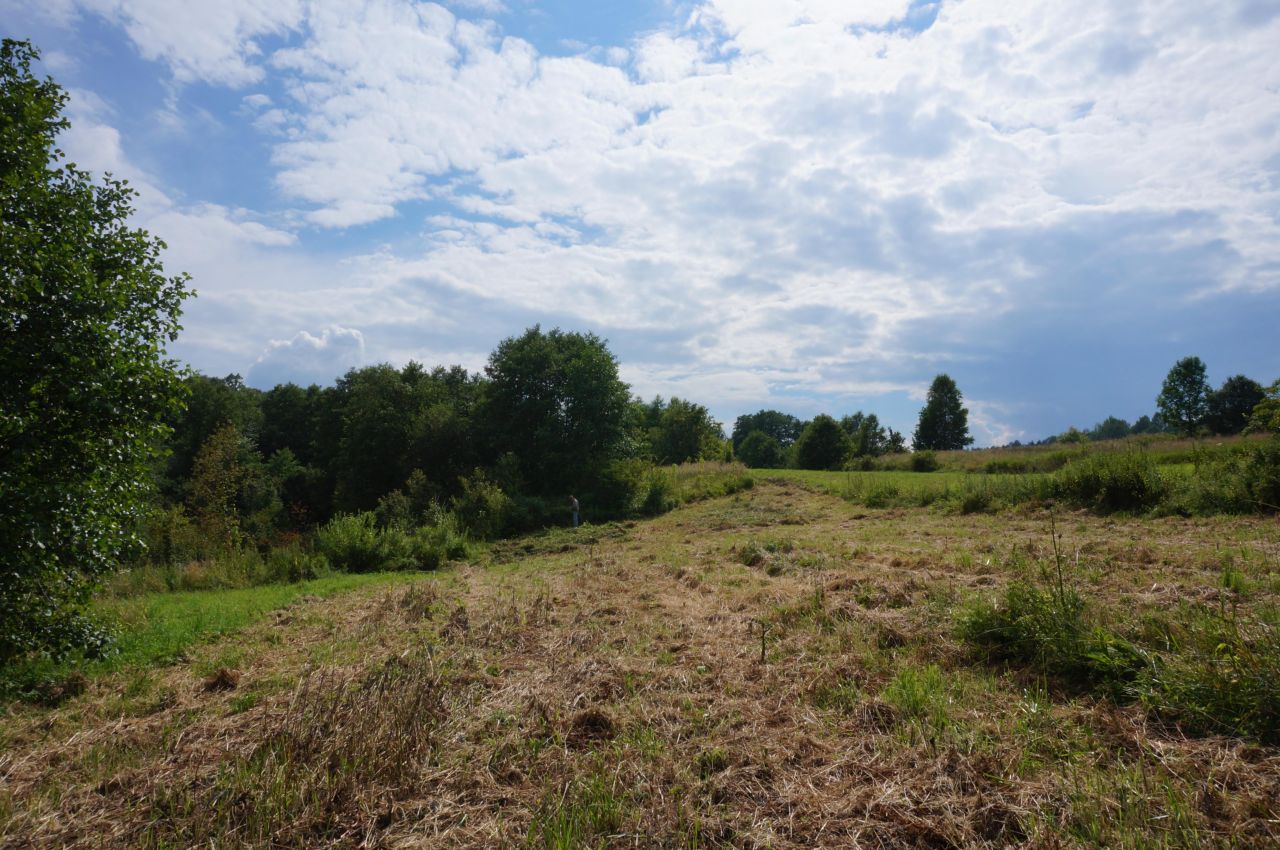 Działka budowlana Domaradz Miasteczko. Zdjęcie 2