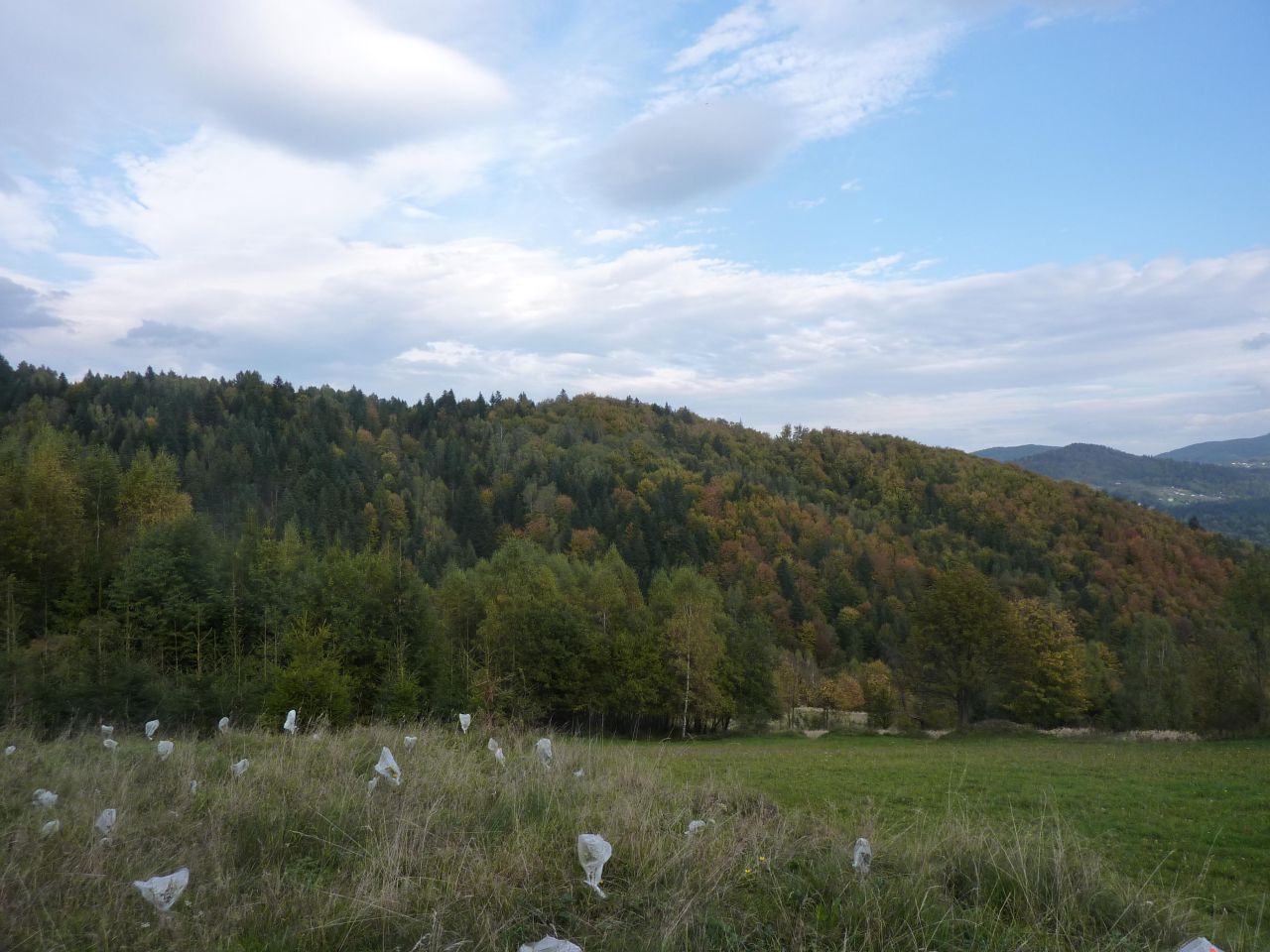 Działka rolna Pewel Wielka Garleje. Zdjęcie 13