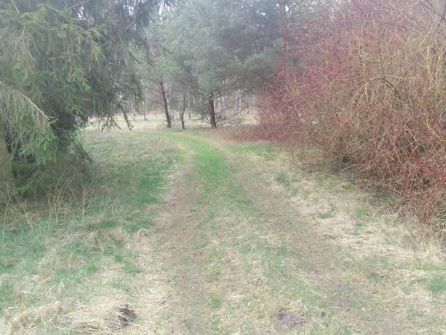 Działka rekreacyjna Siemiany. Zdjęcie 1