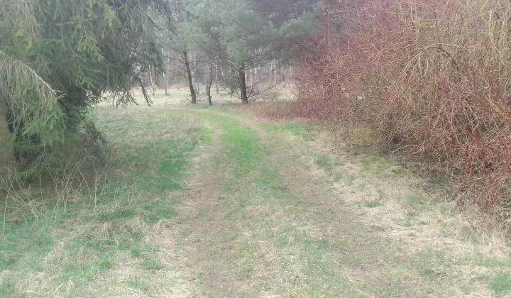 Działka rekreacyjna Siemiany