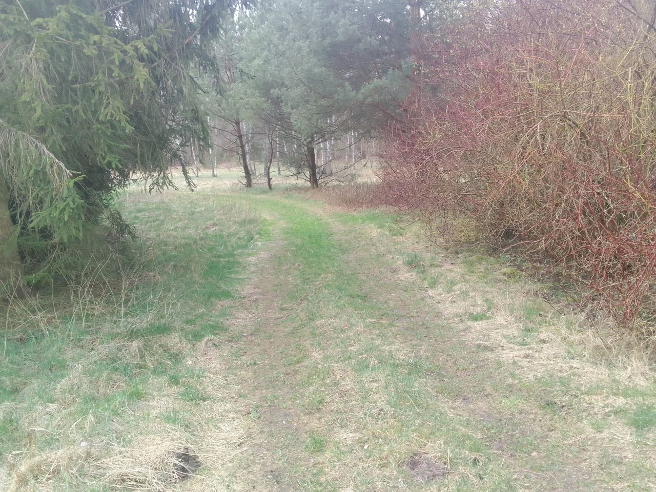 Działka rekreacyjna Siemiany