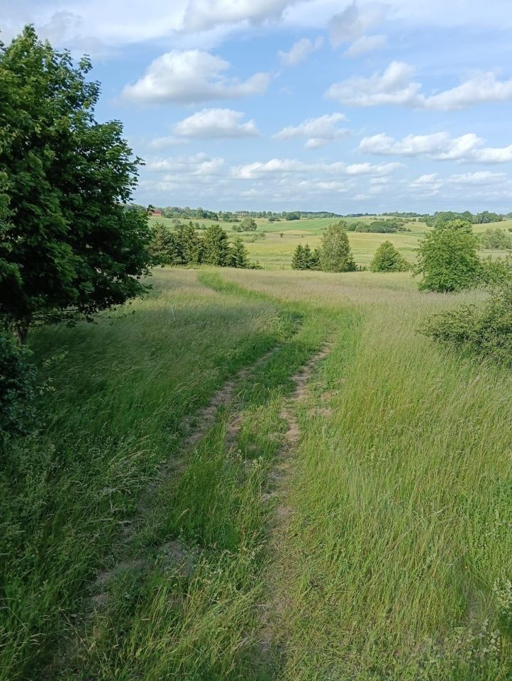 Działka rolno-budowlana Burdąg. Zdjęcie 2