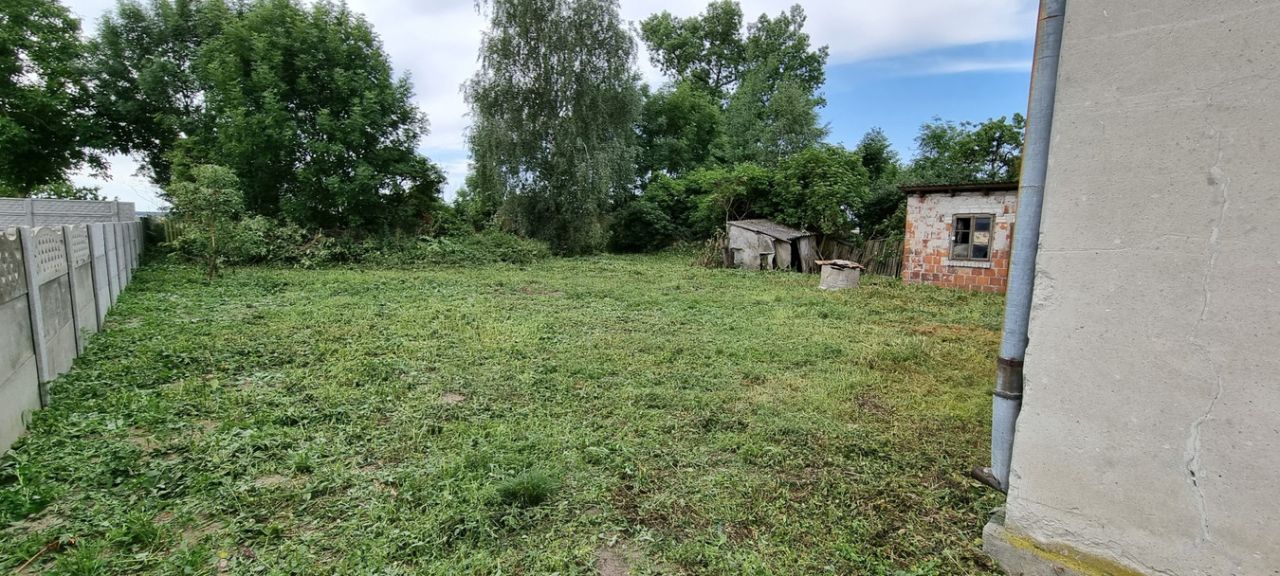 Działka rolna Wielenin. Zdjęcie 14