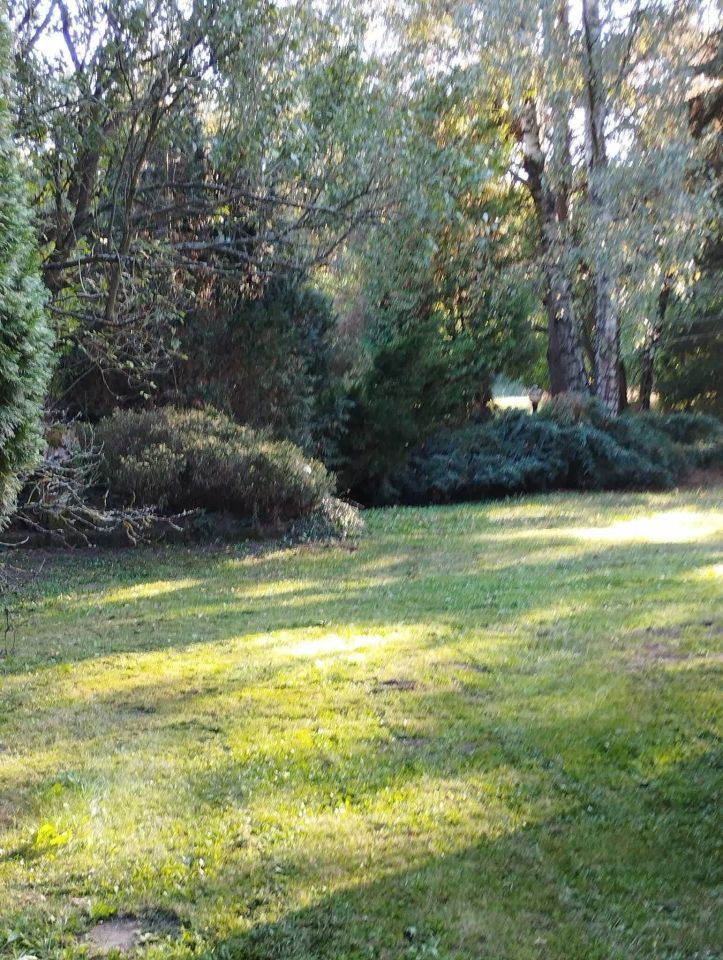 Działka rolno-budowlana Koźniewo Średnie. Zdjęcie 7