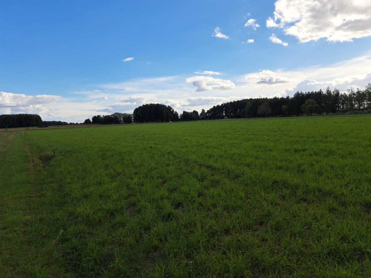 Działka budowlana Folwark. Zdjęcie 7