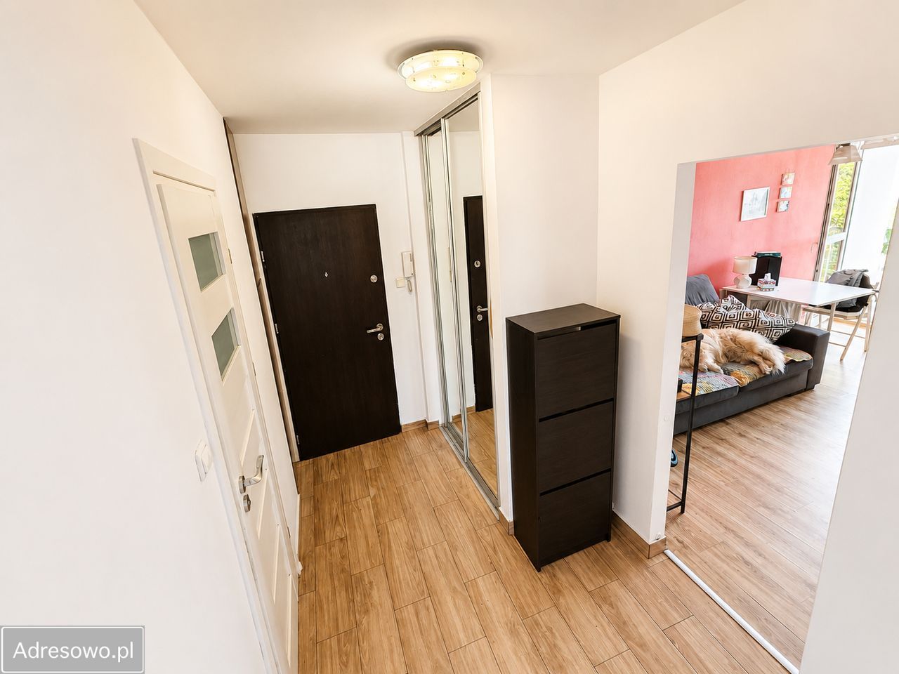 Mieszkanie 3-pokojowe Gliwice Śródmieście, al. Majowa. Zdjęcie 7