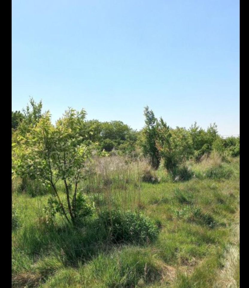 Działka rolno-budowlana Wygoda, Wygoda. Zdjęcie 4