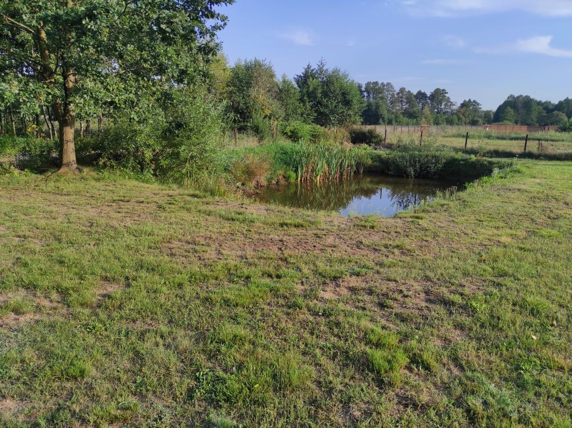 Działka budowlana Zawady, ul. Brzozowa. Zdjęcie 5