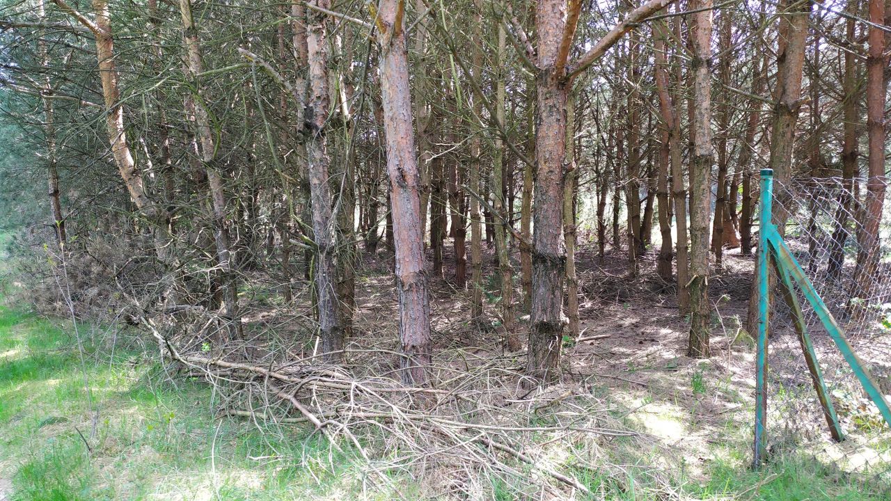 Działka rolna Bocheniec. Zdjęcie 2