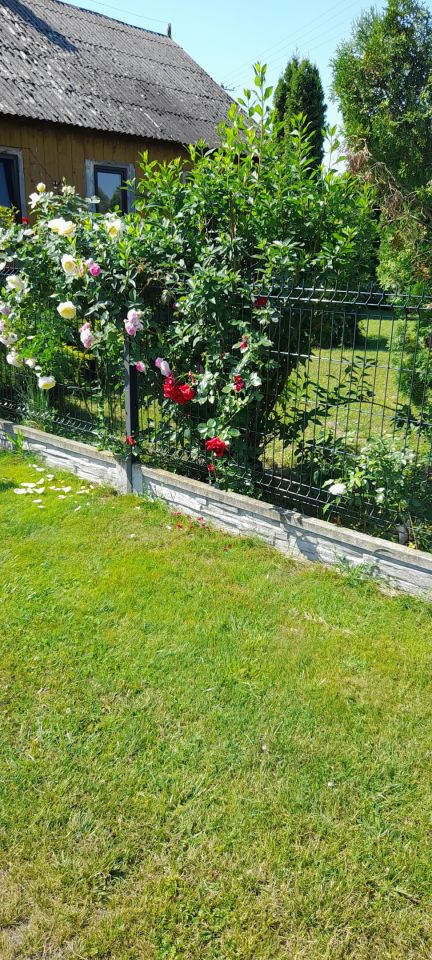 siedlisko, 6 pokoi Wyszonki-Wypychy. Zdjęcie 2