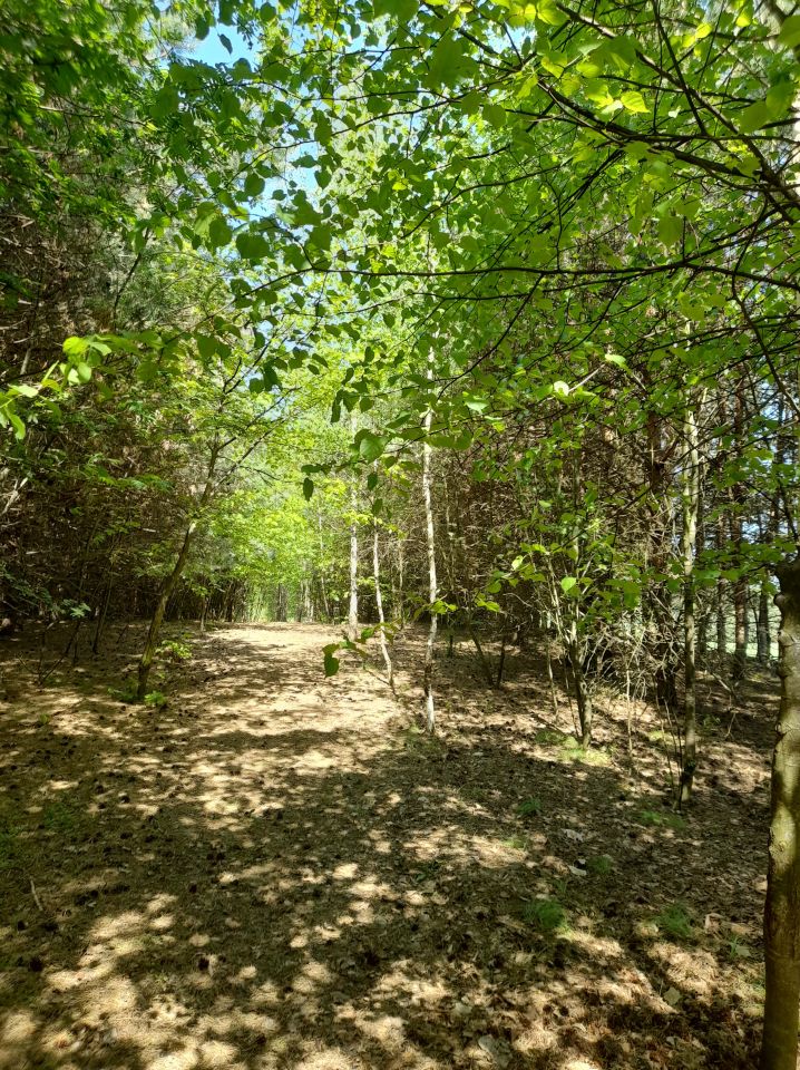 dom wolnostojący, 4 pokoje Kalinowy Dół. Zdjęcie 21