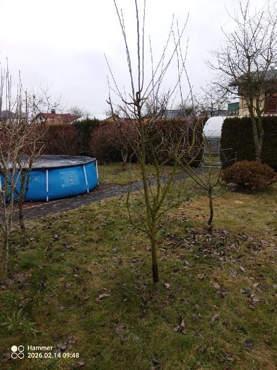 Działka rod Żory. Zdjęcie 5