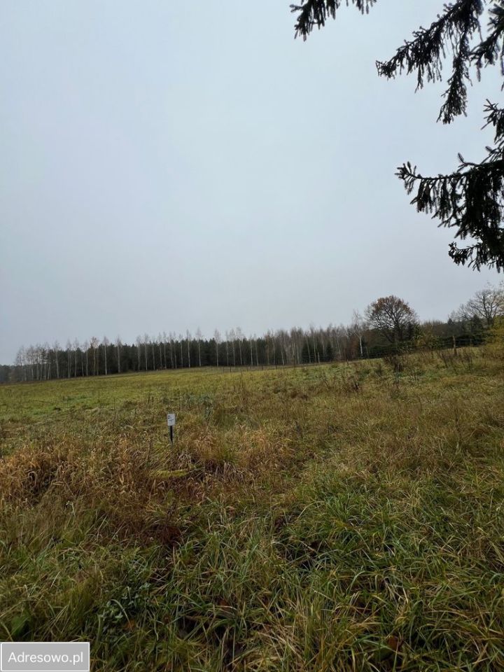 Działka budowlana Zyzdrojowy Piecek Zyzdrojowa Wola. Zdjęcie 2