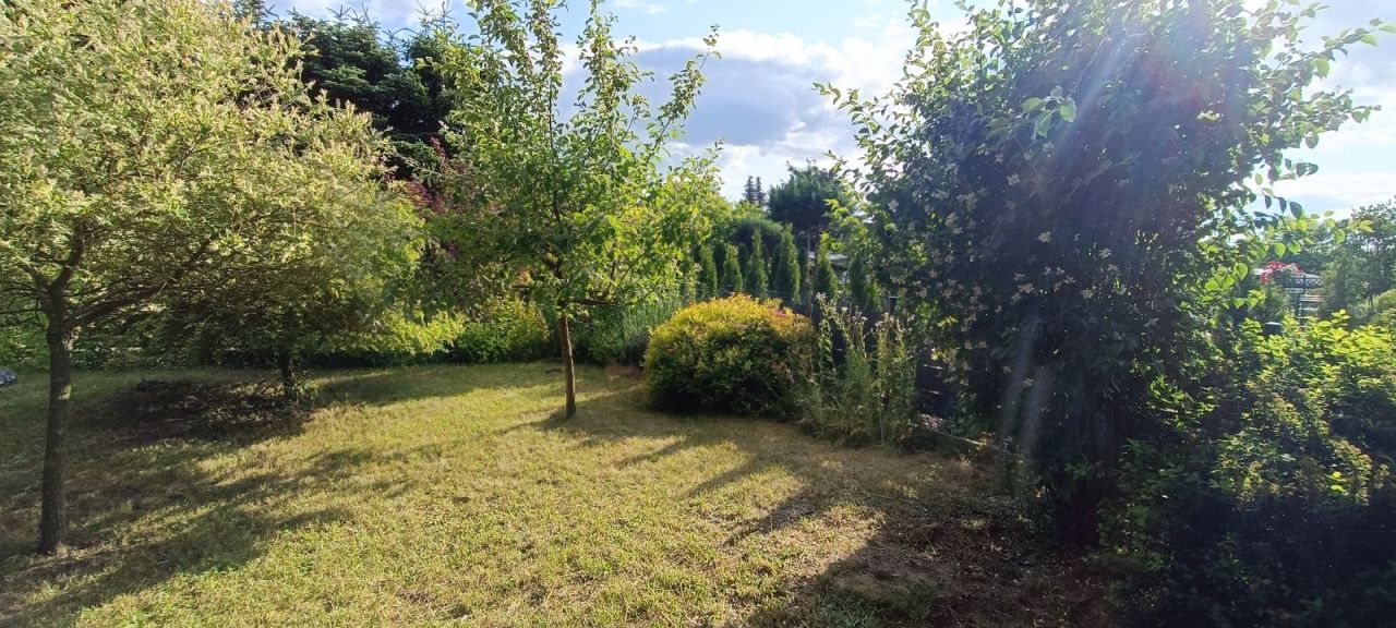 Działka rod Poznań Ogrody. Zdjęcie 3