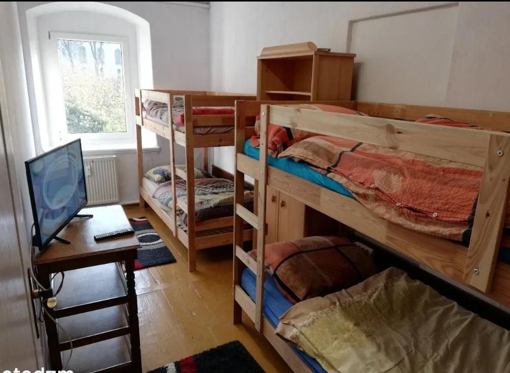 Hala/magazyn Budziszów Wielki. Zdjęcie 13