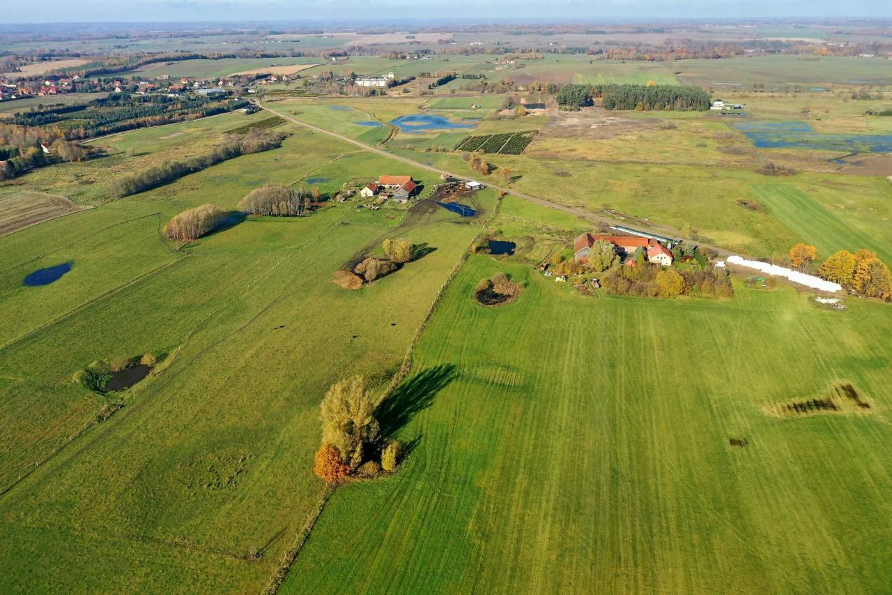 Działka rolna Rogóż. Zdjęcie 4