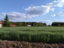 Działka inwestycyjna Młodzieszyn, ul. Wyzwolenia. Zdjęcie 1