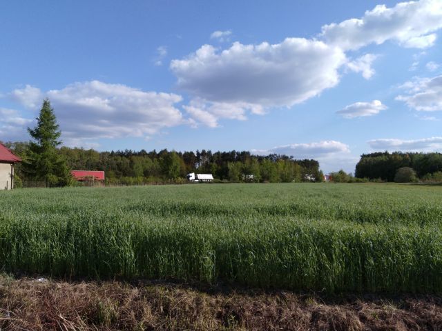 Działka inwestycyjna Młodzieszyn, ul. Wyzwolenia. Zdjęcie 2