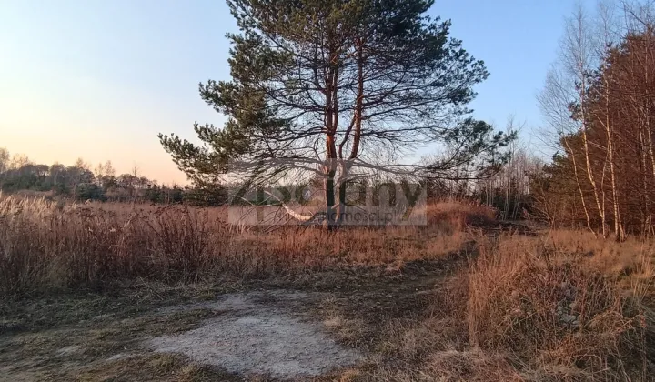 Działka budowlana Żelechów