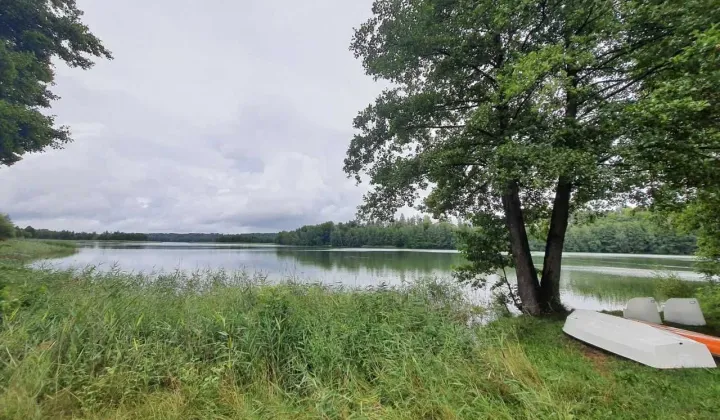 Działka leśna Borek Kamienny