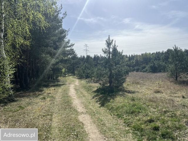 Działka budowlana Łochowice. Zdjęcie 1