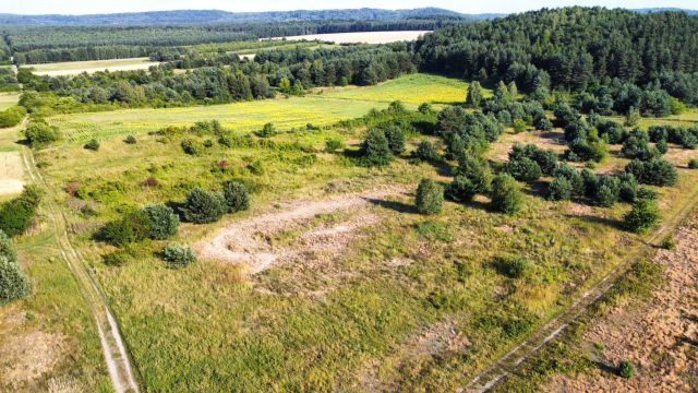 Działka rekreacyjna Złoty Potok. Zdjęcie 8