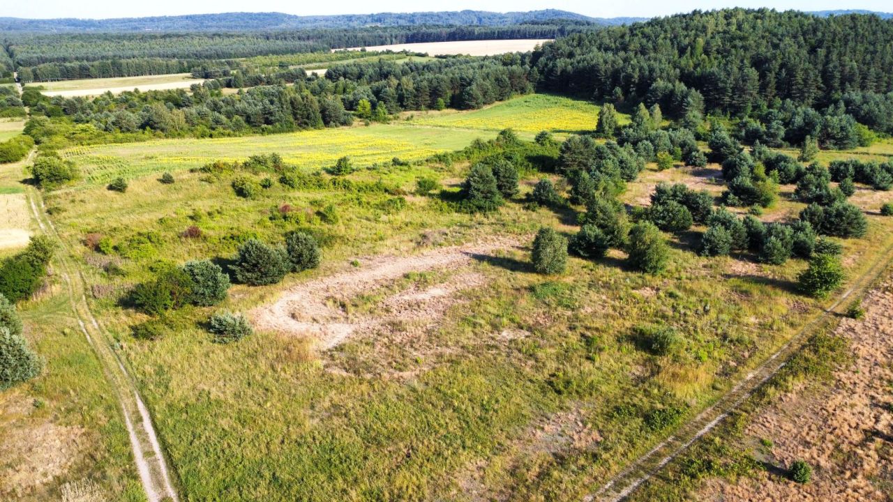 Działka rekreacyjna Złoty Potok. Zdjęcie 8