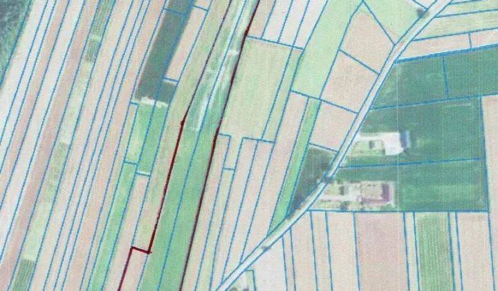 Działka siedliskowa Dąbrowa