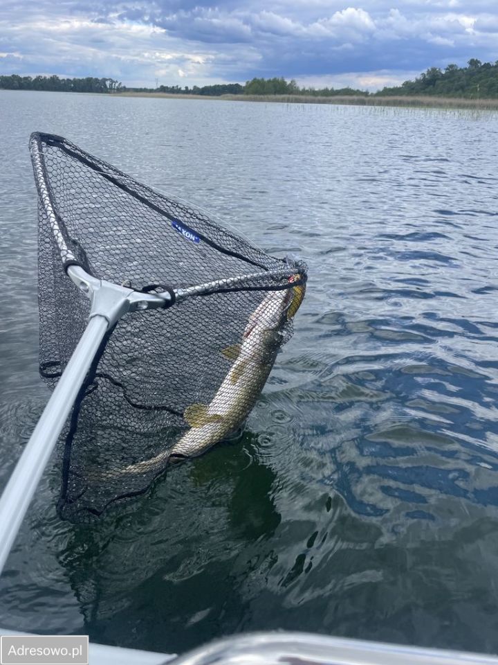 dom wolnostojący, 4 pokoje Lubikowo. Zdjęcie 18